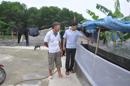 Được tạo điều kiện từ các nguồn vốn vay, gia đình ông Lê Khả Luyện, ở thôn Đồng Nghiêm, xã Mậu Lâm (Như Thanh) đầu tư phát triển chăn nuôi.